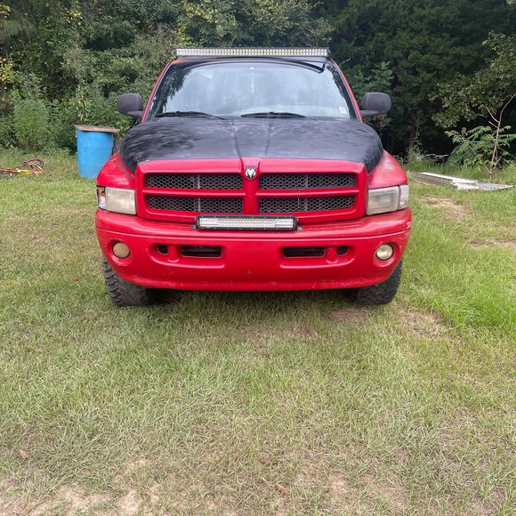 Meet your Posher, Phillip - Picture 1 of 1